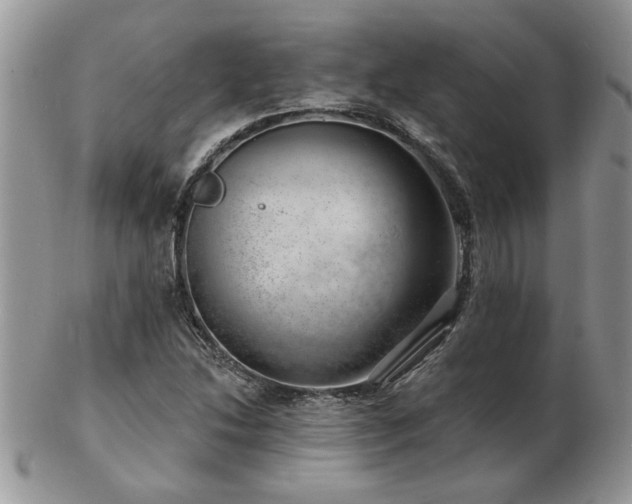 X0000103241214200808281433