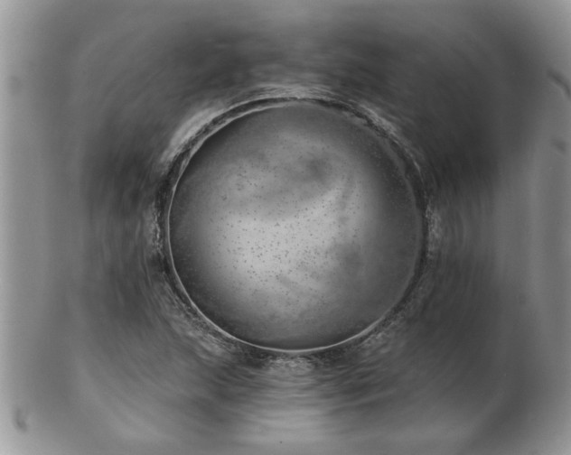 X0000103241215200808281433