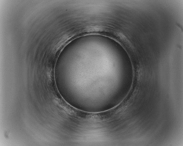 X0000103241217200808281433