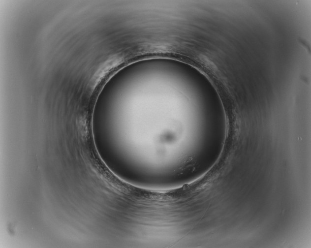 X0000103241218200808281433