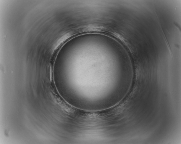 X0000103241219200808281433