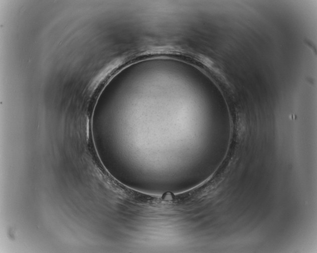 X0000103241221200808281433