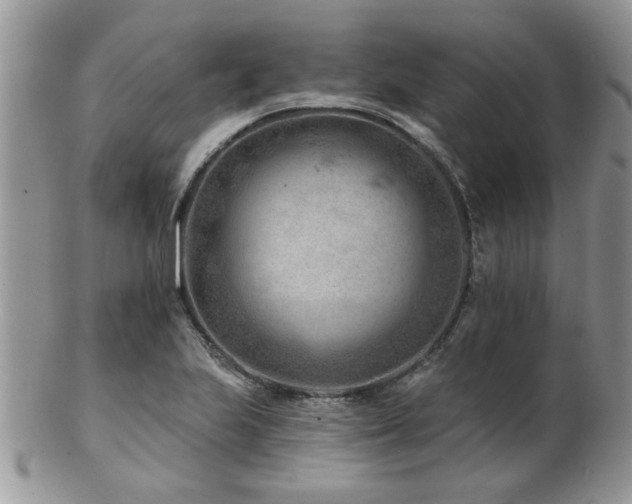 X0000103241223200808281433
