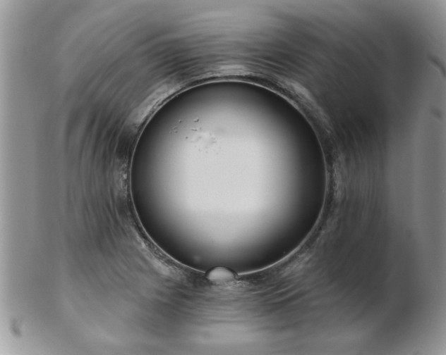 X0000103241225200808281433