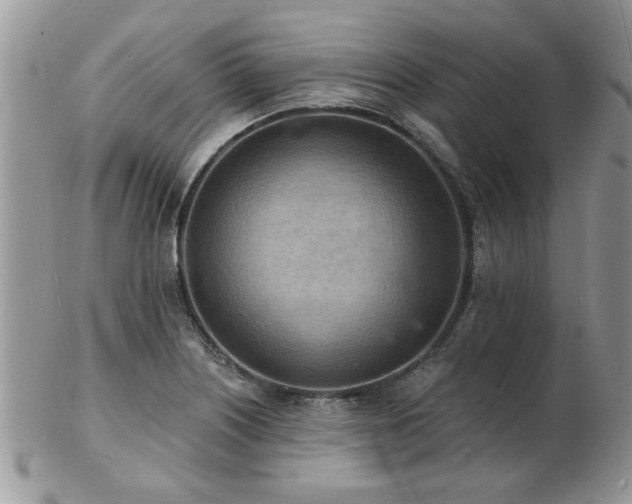 X0000103241226200808281433