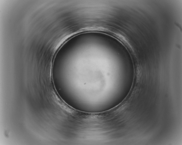 X0000103241228200808281433