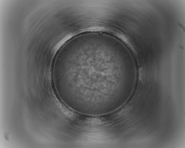 X0000103241229200808281433