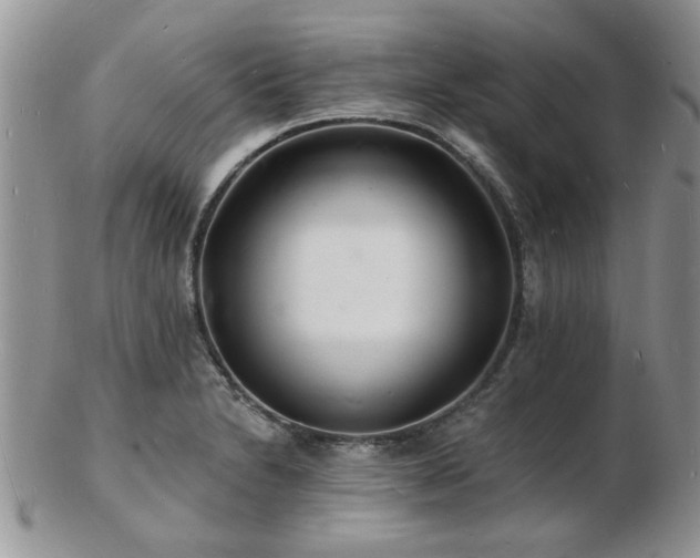 X0000103241230200808281433