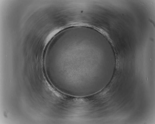 X0000103241231200808281433