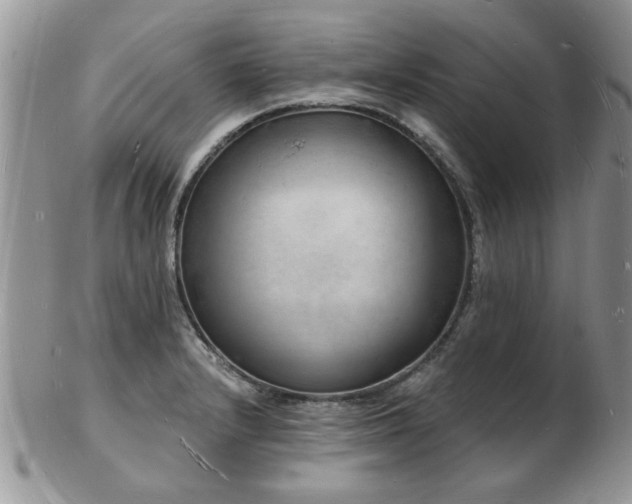 X0000103241232200808281433