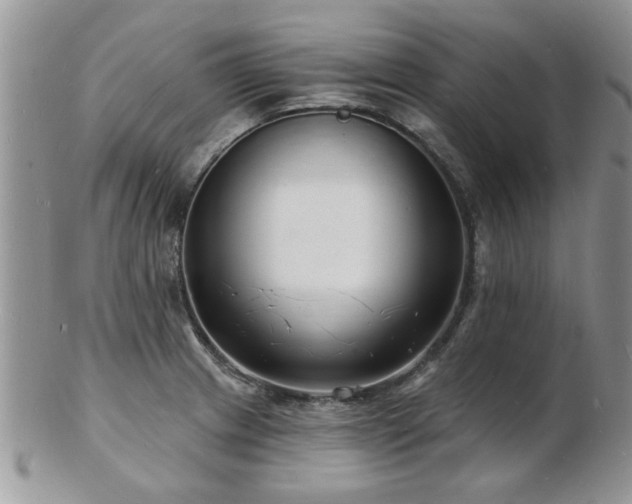 X0000103241233200808281433