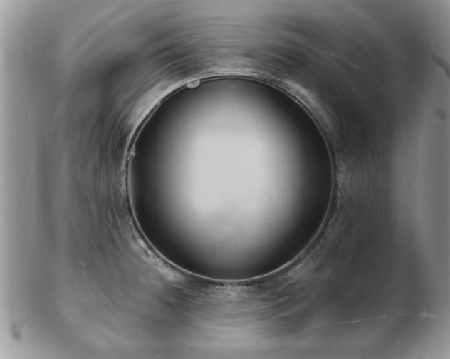 X0000103241236200808281433