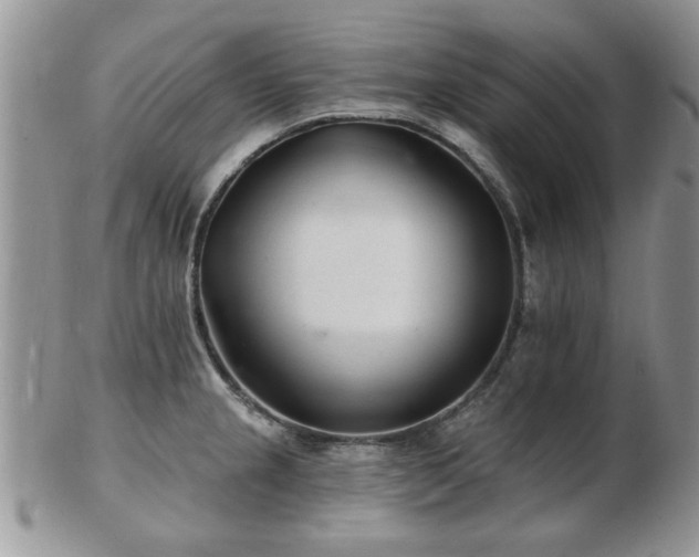 X0000103241237200808281434