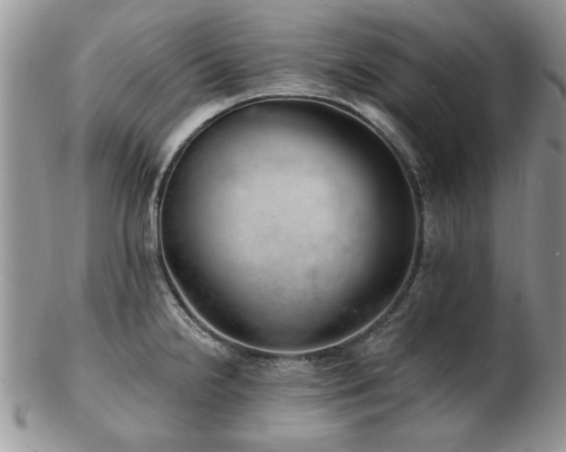 X0000103241238200808281434