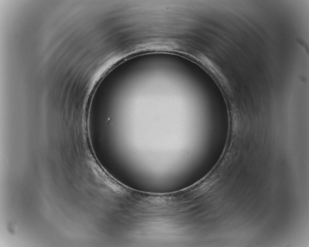 X0000103241240200808281434