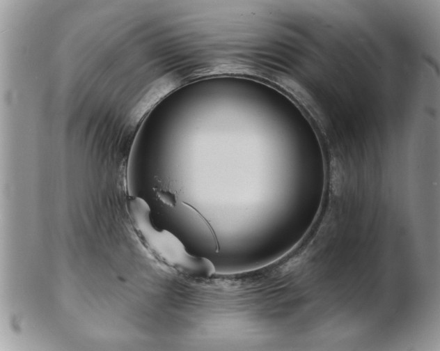 X0000103241241200808281434
