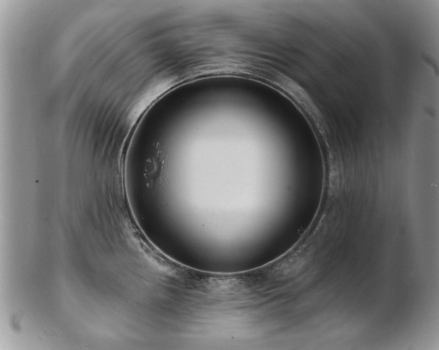 X0000103241242200808281434