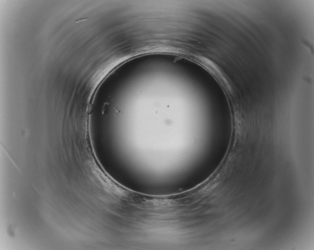X0000103241244200808281434