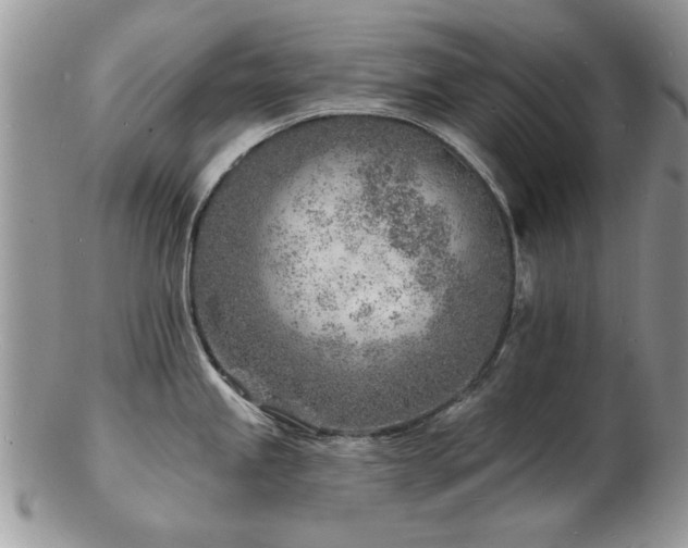 X0000103241245200808281434