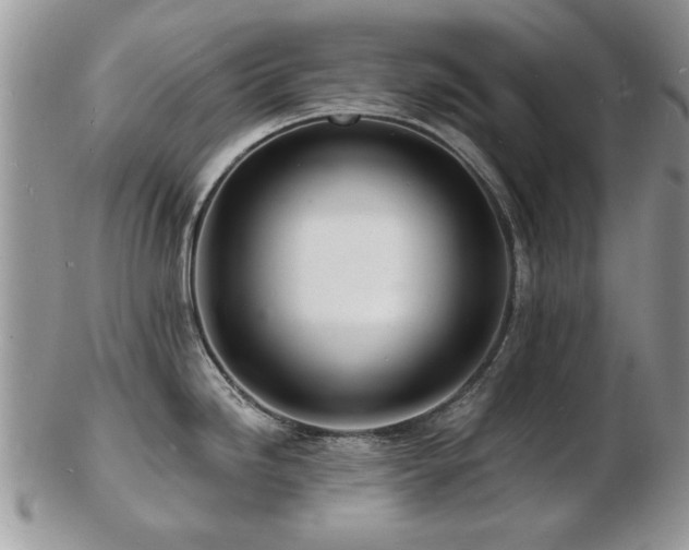 X0000103241246200808281434