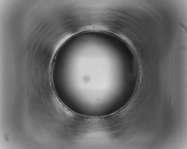 X0000103241248200808281434