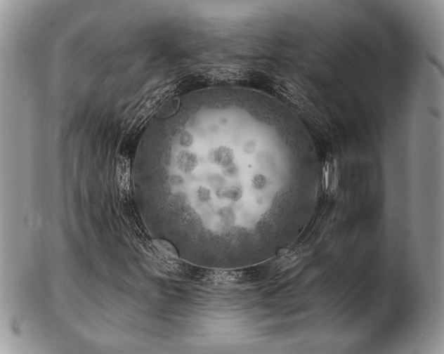 X0000103241251200808281433