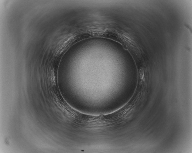 X0000103241252200808281433