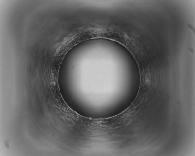 X0000103241253200808281433