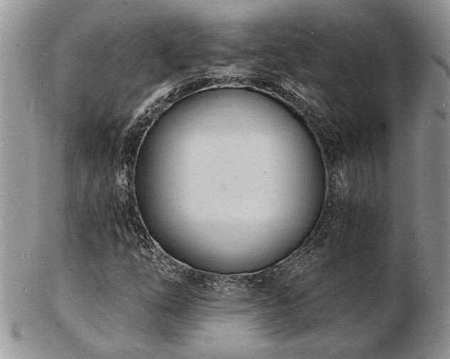 X0000103241254200808281433