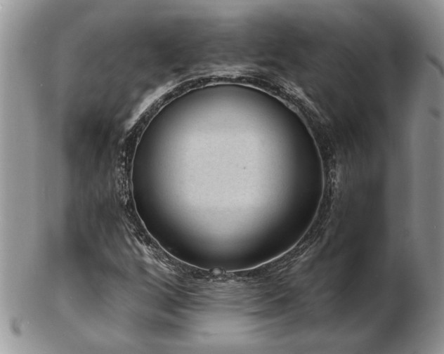 X0000103241256200808281433