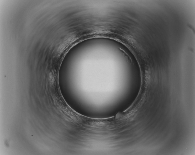 X0000103241257200808281433