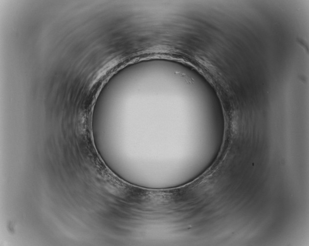 X0000103241258200808281433
