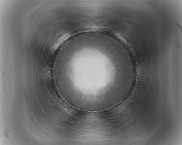 X0000103241259200808281433