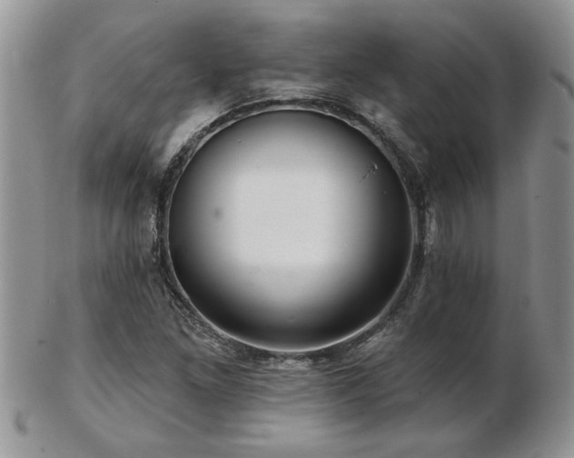 X0000103241261200808281433