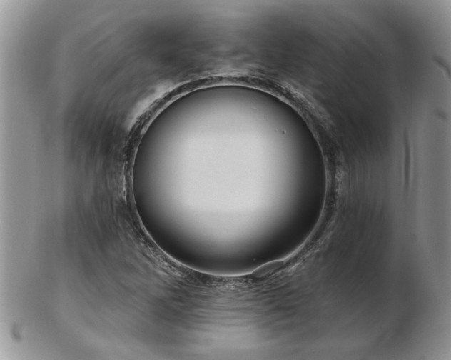 X0000103241262200808281433