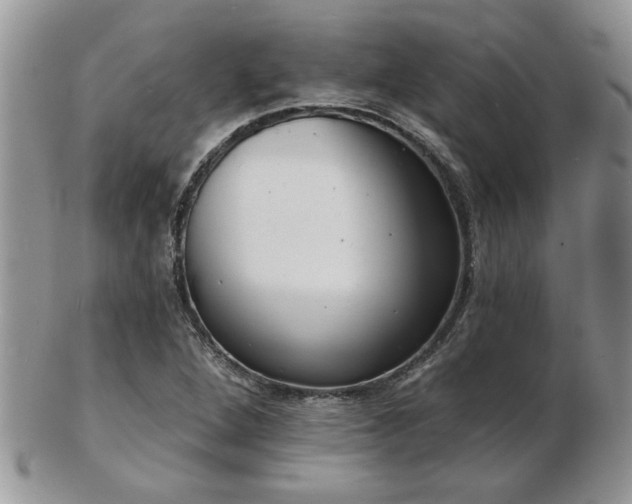 X0000103241264200808281433