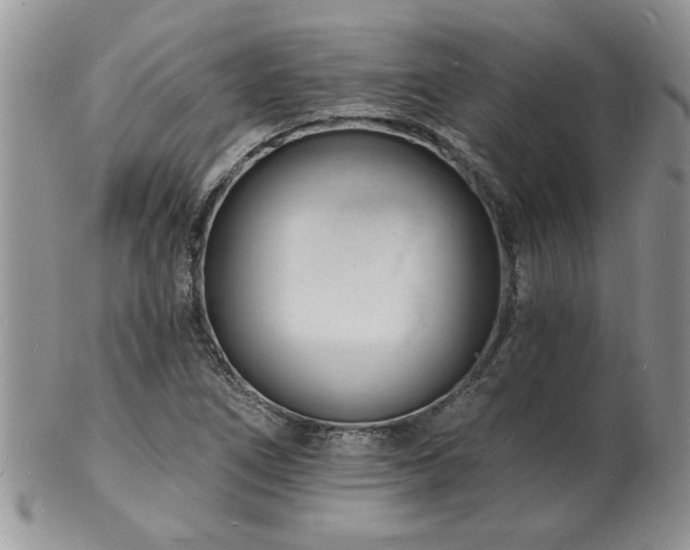 X0000103241266200808281433