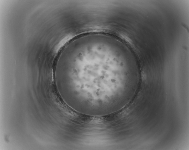 X0000103241267200808281433