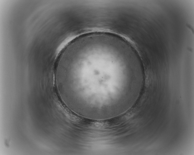 X0000103241271200808281433