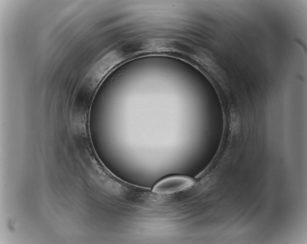X0000103241273200808281433