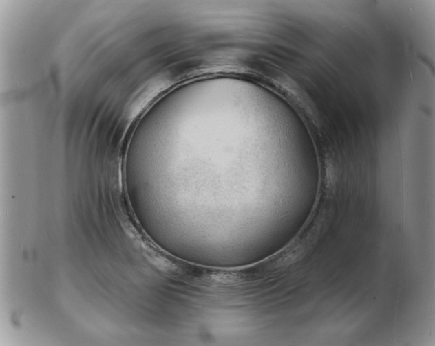 X0000103241274200808281433