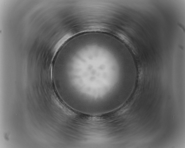 X0000103241275200808281433