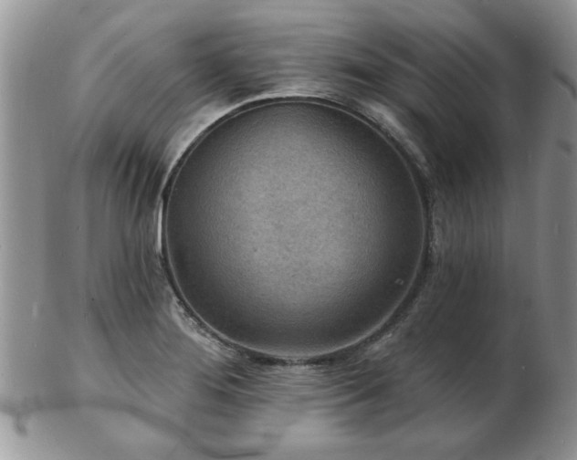 X0000103241276200808281433