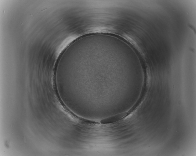 X0000103241277200808281433