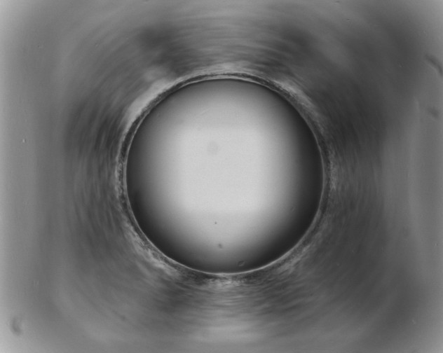 X0000103241278200808281433