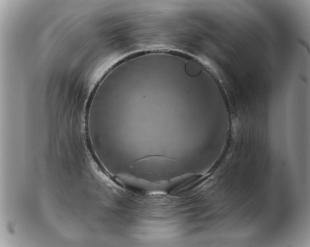 X0000103241279200808281433