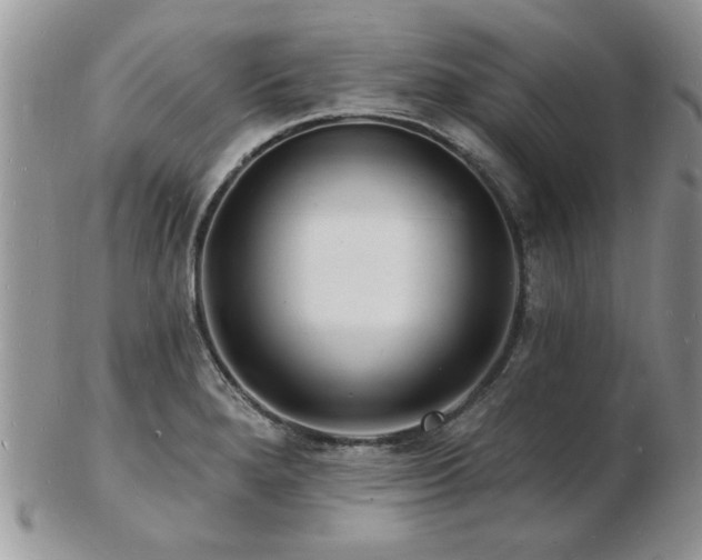 X0000103241280200808281433