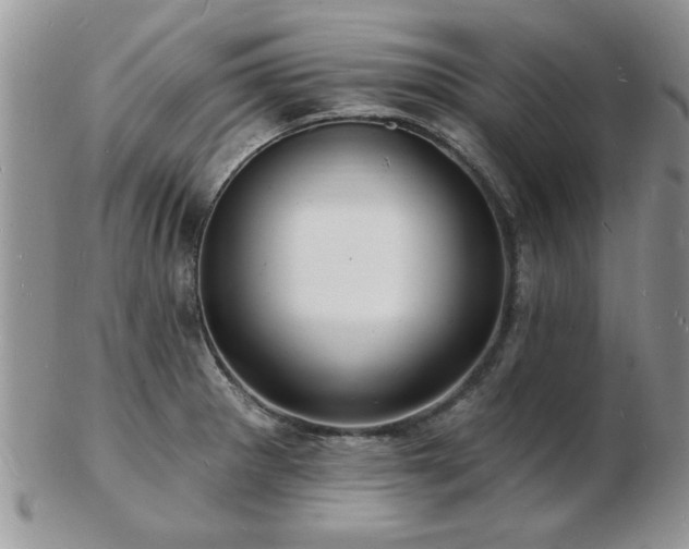 X0000103241281200808281433