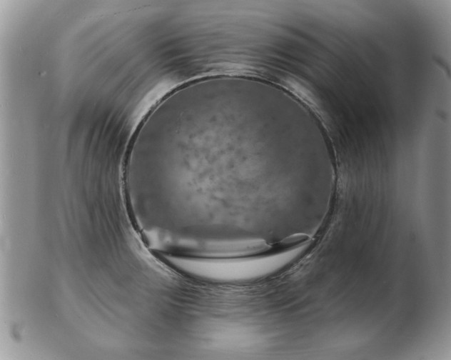 X0000103241283200808281433