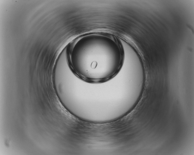 X0000103241284200808281432